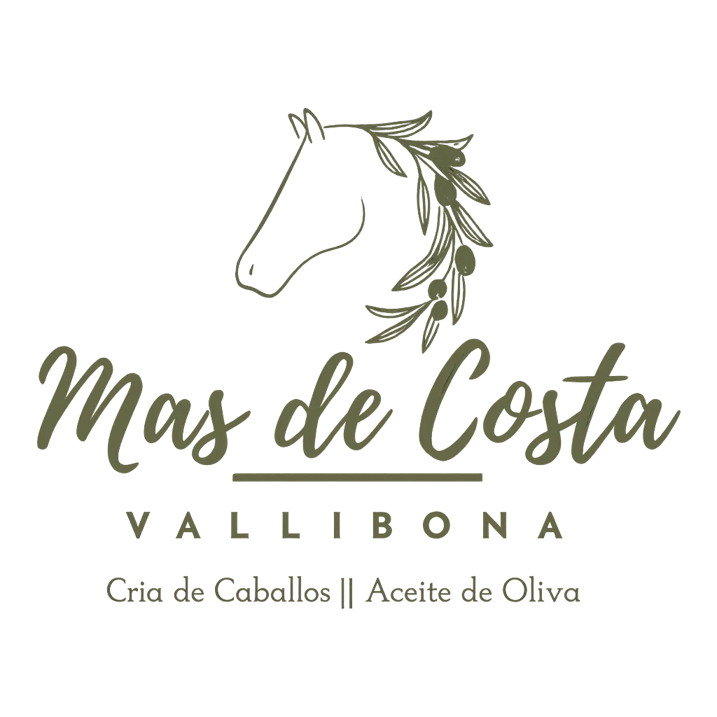 Mas de Costa en Vallibona 13